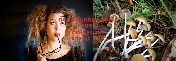 мет Новозыбков