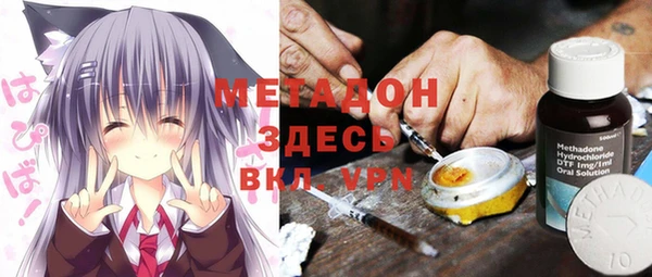 трава Тавда
